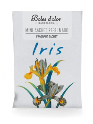 BOLES DOLOR - Mini Saco Iris